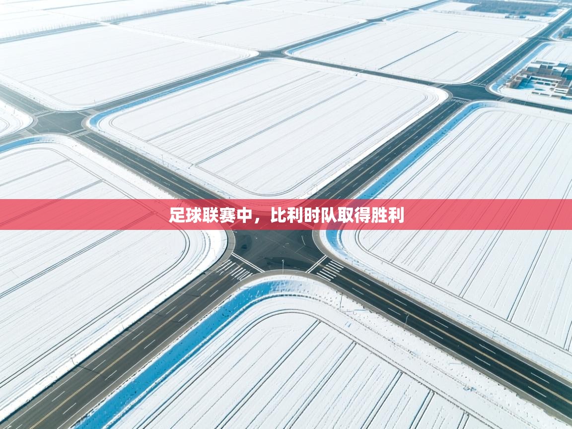 足球联赛中,比利时队取得胜利 第2张