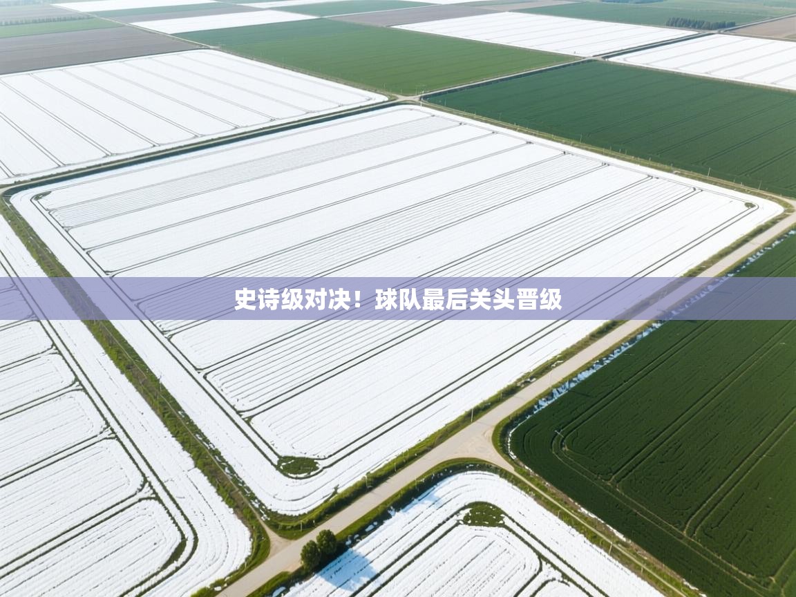 史诗级对决！球队最后关头晋级  第1张