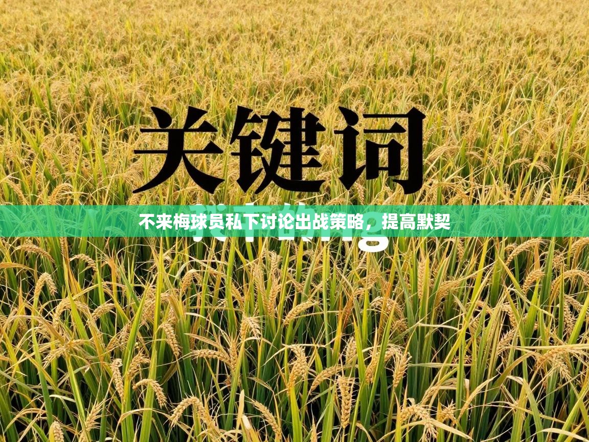 不来梅球员私下讨论出战策略,提高默契 第2张