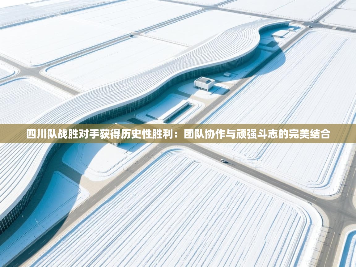 四川队战胜对手获得历史性胜利：团队协作与顽强斗志的完美结合  第1张