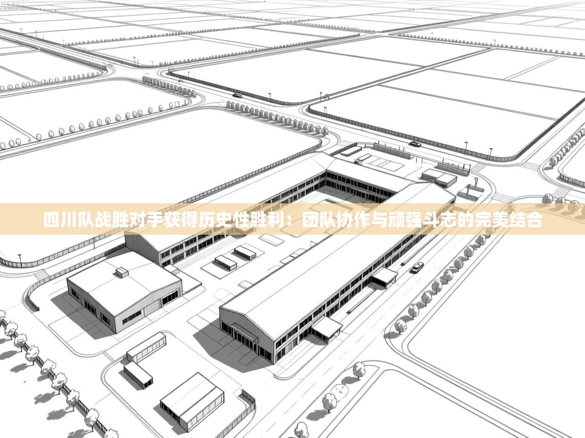 四川队战胜对手获得历史性胜利：团队协作与顽强斗志的完美结合  第2张