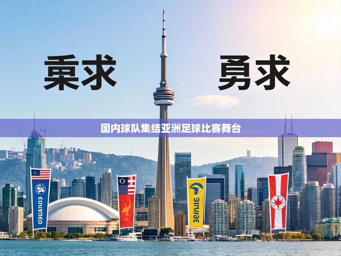 国内球队集结亚洲足球比赛舞台  第1张