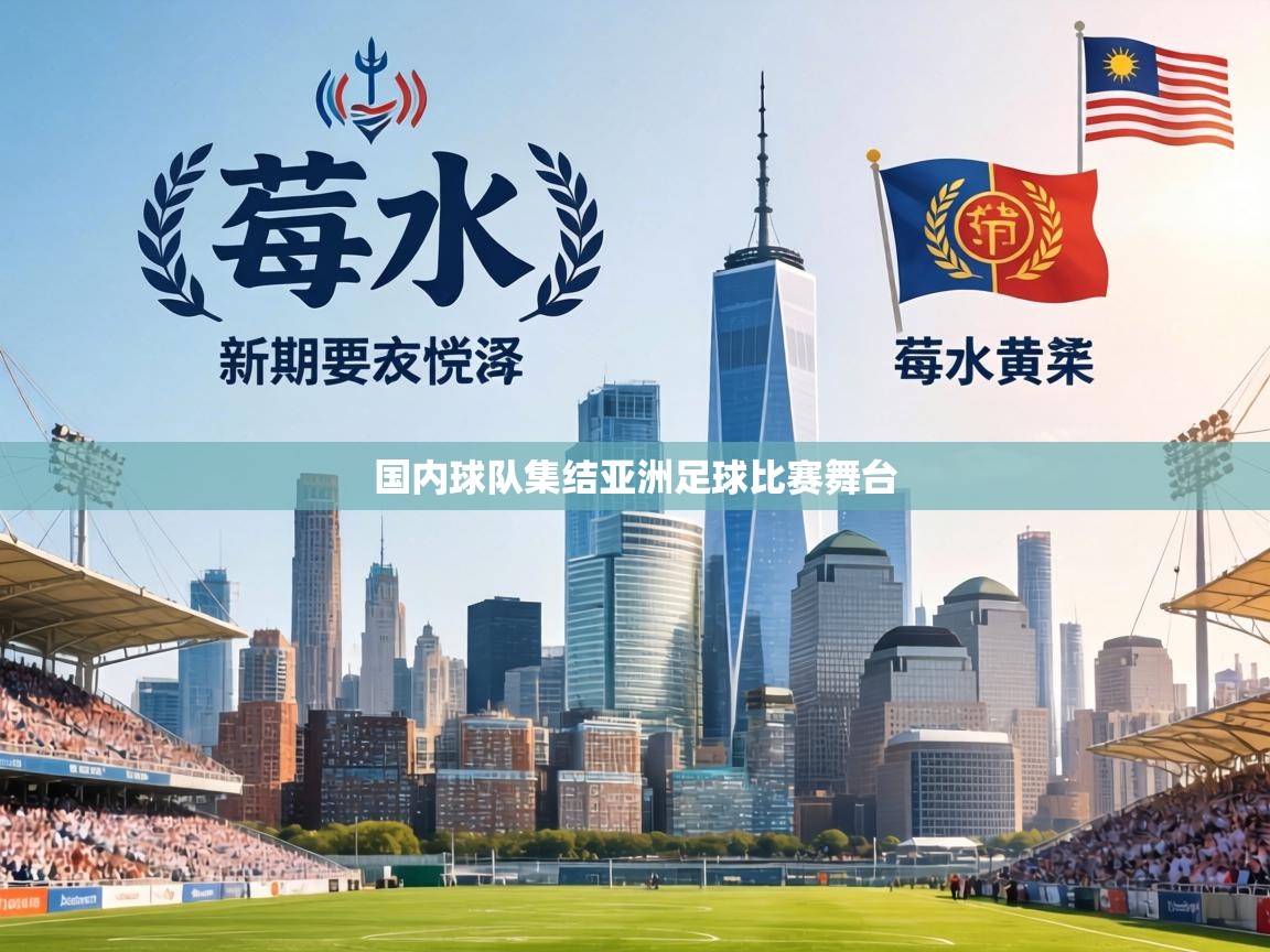 国内球队集结亚洲足球比赛舞台  第2张